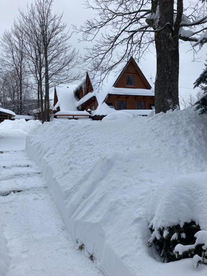 Mountain Dream Apartment Koscielisko Exterior photo
